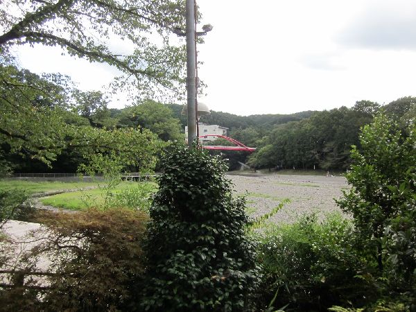 飯能河原の風景